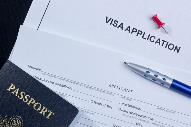 temporary humanitarian concern visa subclass 786